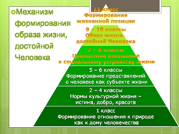  Механизм формирования образа жизни, достойной Человека 5 – 6 классы Формирование представлений о