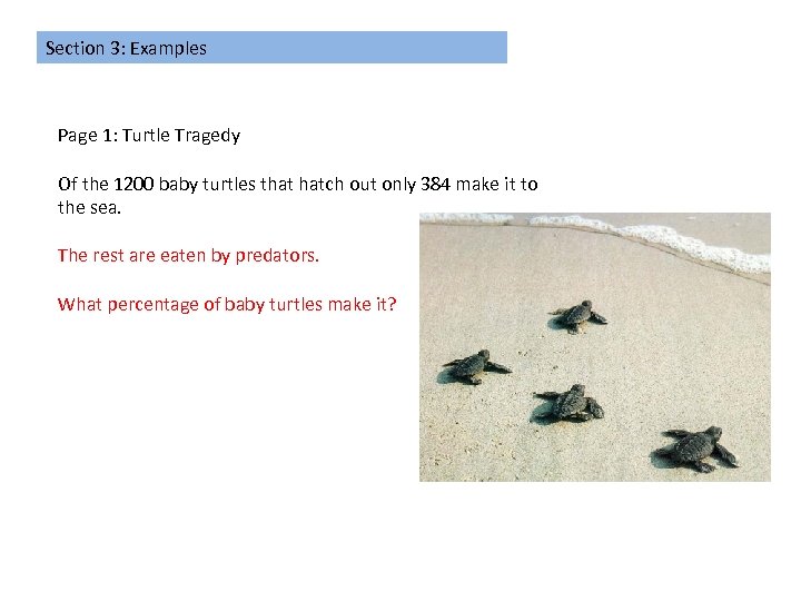 Section 3: Examples Page 1: Turtle Tragedy Of the 1200 baby turtles that hatch