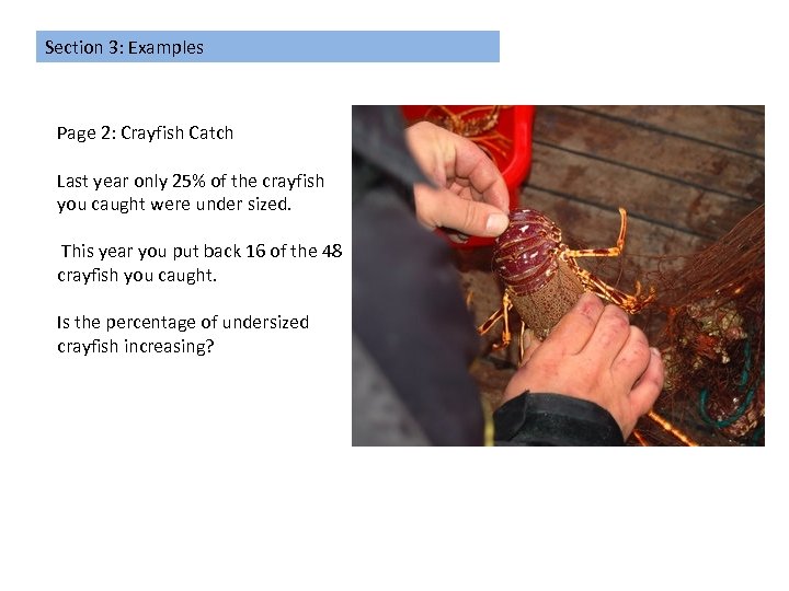 Section 3: Examples Page 2: Crayfish Catch Last year only 25% of the crayfish