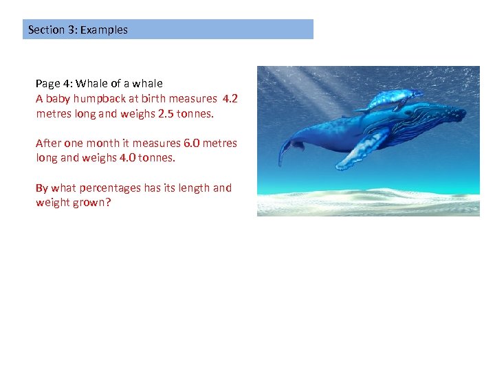 Section 3: Examples Page 4: Whale of a whale A baby humpback at birth