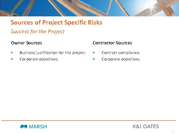 Sources of Project Specific Risks Success for the Project Owner Sources § § Business