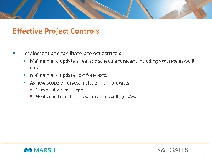 Effective Project Controls § Implement and facilitate project controls. § Maintain and update a