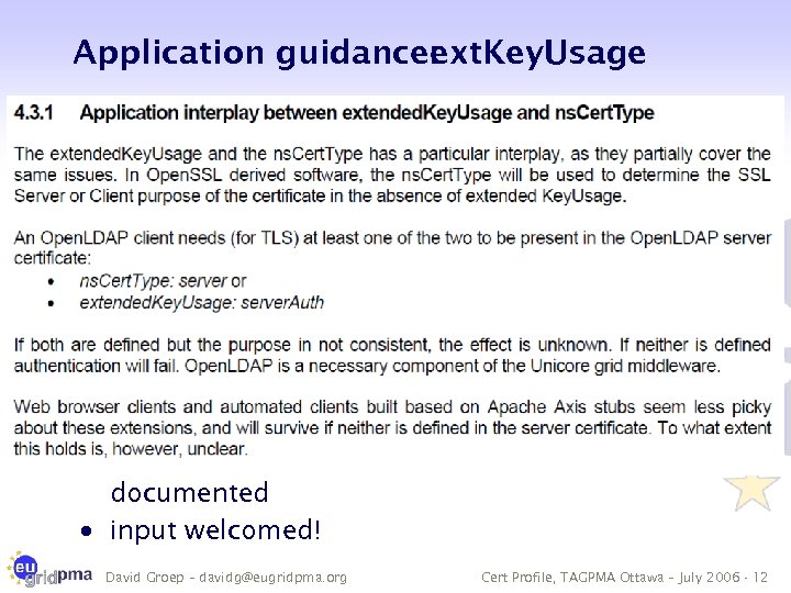 Application guidance: ext. Key. Usage · more of these will be there, and should