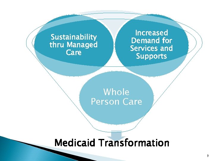 Sustainability thru Managed Care Increased Demand for Services and Supports Whole Person Care Medicaid