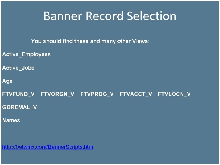 Banner Record Selection You should find these and many other Views: Active_Employees Active_Jobs Age