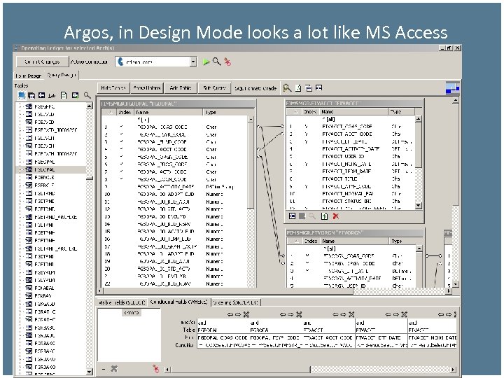 Argos, in Design Mode looks a lot like MS Access 