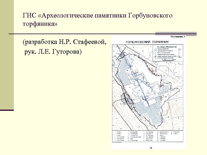 ГИС «Археологические памятники Горбуновского торфяника» (разработка Н. Р. Стафеевой, рук. Л. Е. Гуторова) 
