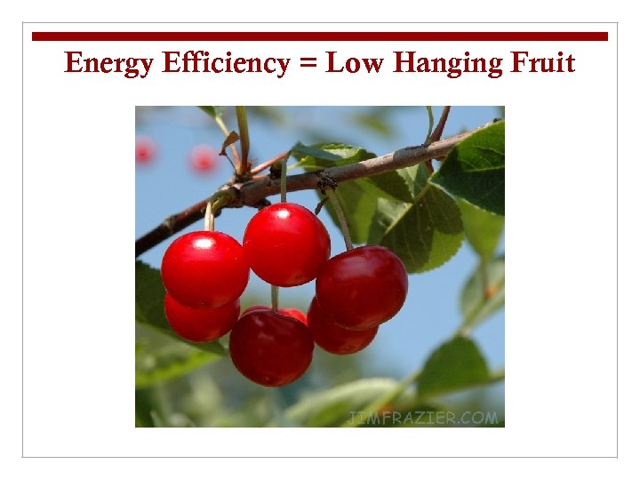 Energy Efficiency = Low Hanging Fruit 