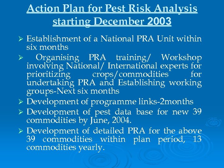 Action Plan for Pest Risk Analysis starting December 2003 Establishment of a National PRA