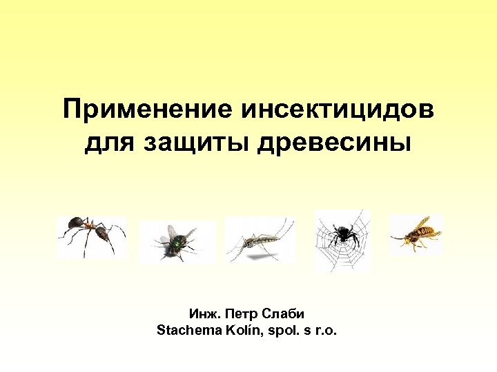 Применение инсектицидов для защиты древесины Инж. Петр Слаби Stachema Kolín, spol. s r. o.