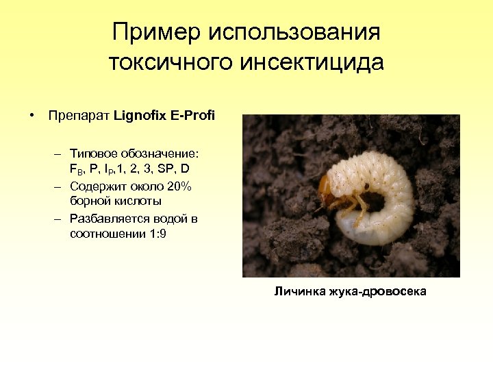 Пример использования токсичного инсектицида • Препарат Lignofix E-Profi – Типовое обозначение: FB, P, IP,
