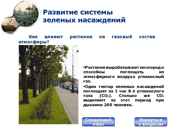 Развитие системы зеленых насаждений Как влияют атмосферы? растения на газовый состав §Растения вырабатывают кислород