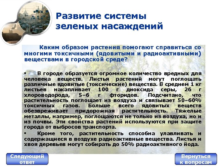 Развитие системы зеленых насаждений Каким образом растения помогают справиться со многими токсичными (ядовитыми и