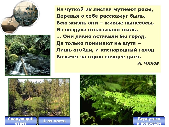 На чуткой их листве мутнеют росы, Деревья о себе расскажут быль. Всю жизнь они
