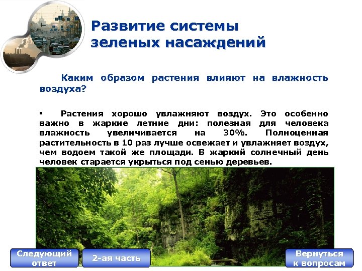 Развитие системы зеленых насаждений Каким образом растения влияют на влажность воздуха? § Растения хорошо