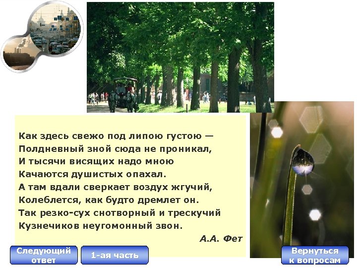 Как здесь свежо под липою густою — Полдневный зной сюда не проникал, И тысячи
