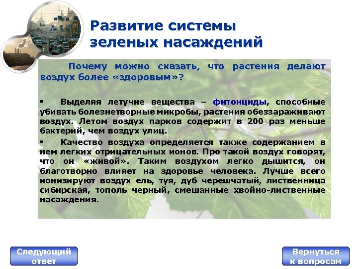 Развитие системы зеленых насаждений Почему можно сказать, что растения делают воздух более «здоровым» ?