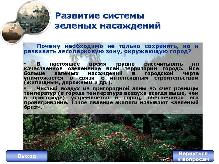 Развитие системы зеленых насаждений Почему необходимо не только сохранять, но и развивать лесопарковую зону,