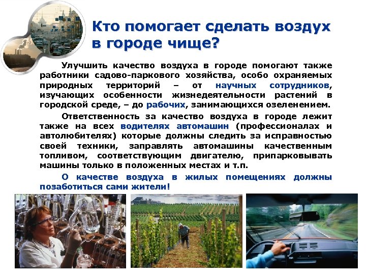 Кто помогает сделать воздух в городе чище? Улучшить качество воздуха в городе помогают также