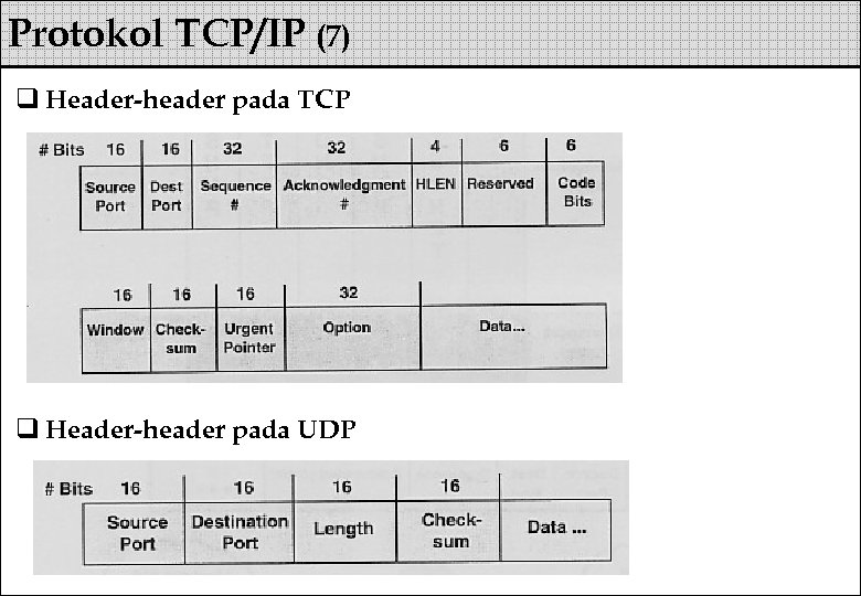 Protokol TCP/IP (7) q Header-header pada TCP q Header-header pada UDP 