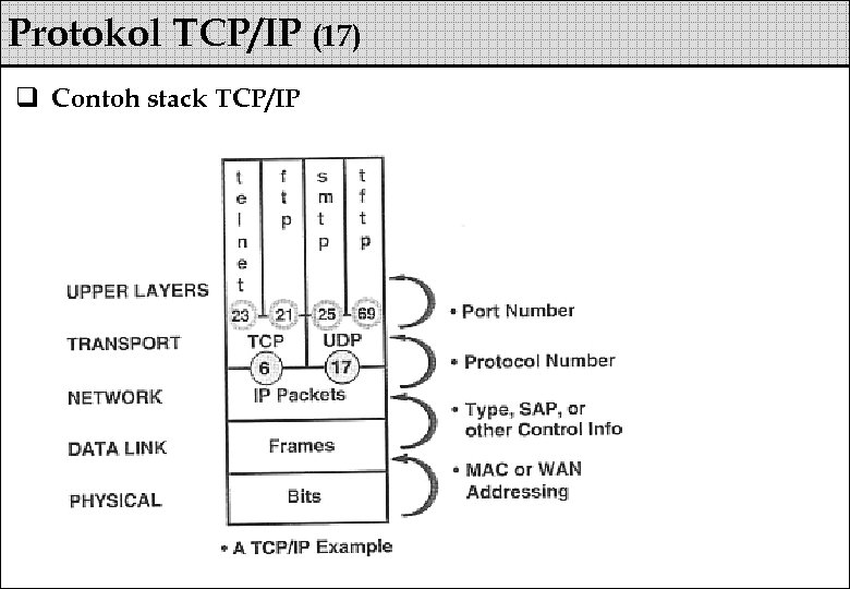 Protokol TCP/IP (17) q Contoh stack TCP/IP 
