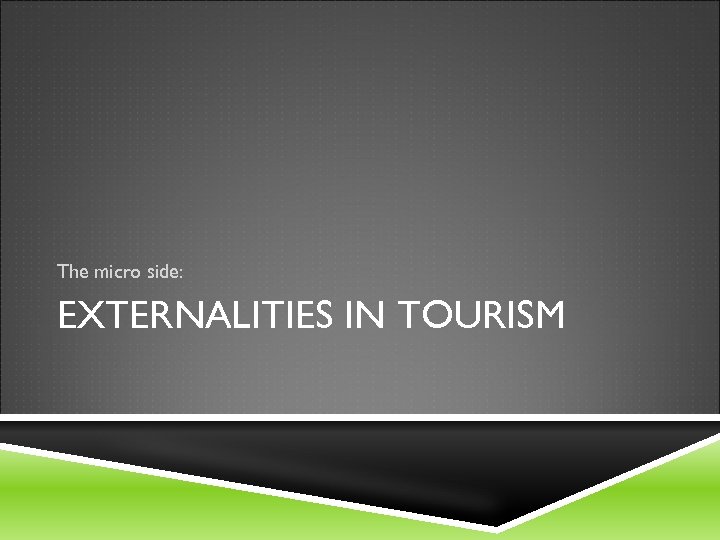 The micro side: EXTERNALITIES IN TOURISM 