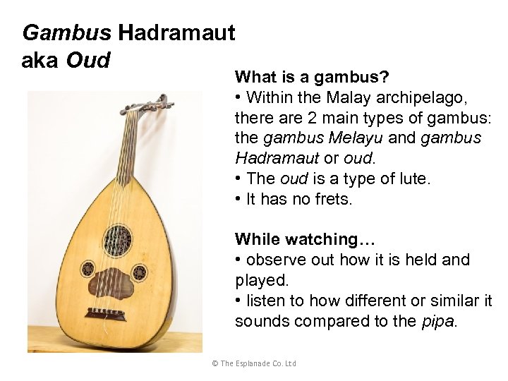 Gambus Hadramaut aka Oud What is a gambus? • Within the Malay archipelago, there