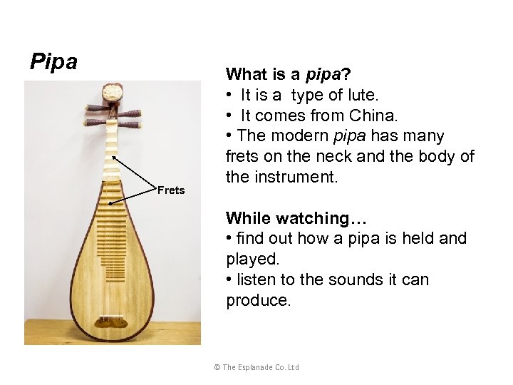 Pipa Frets What is a pipa? • It is a type of lute. •