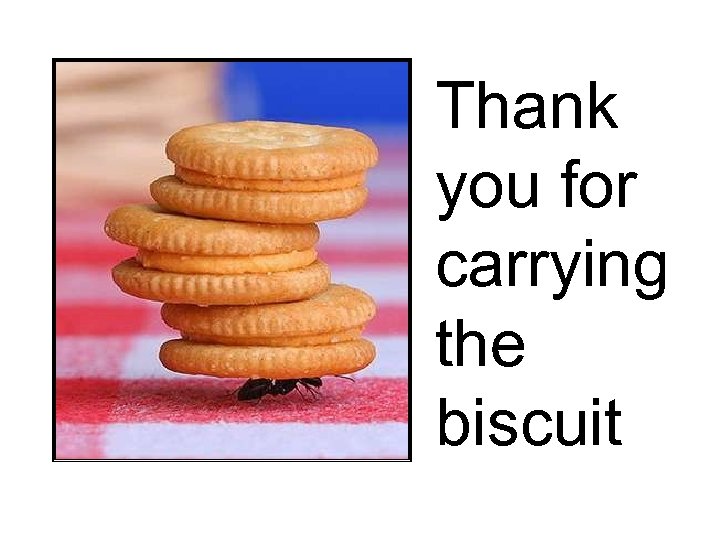 Thank you for carrying the biscuit 