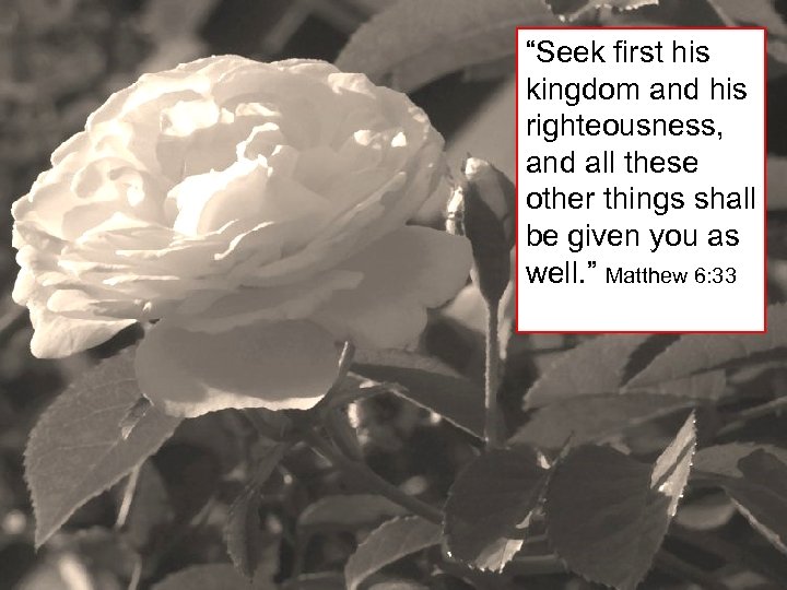 “Seek first his kingdom and his righteousness, and all these other things shall be