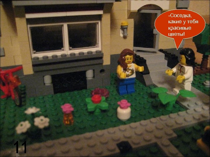 -Соседка, какие у тебя красивые цветы! 