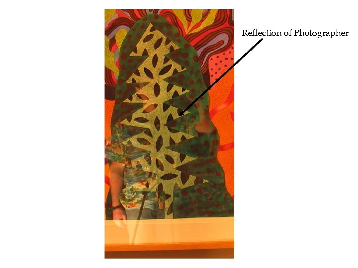 Reflection of Photographer 