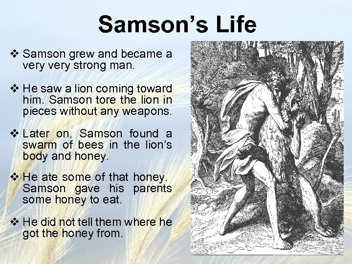 Samson’s Life v Samson grew and became a very strong man. v He saw