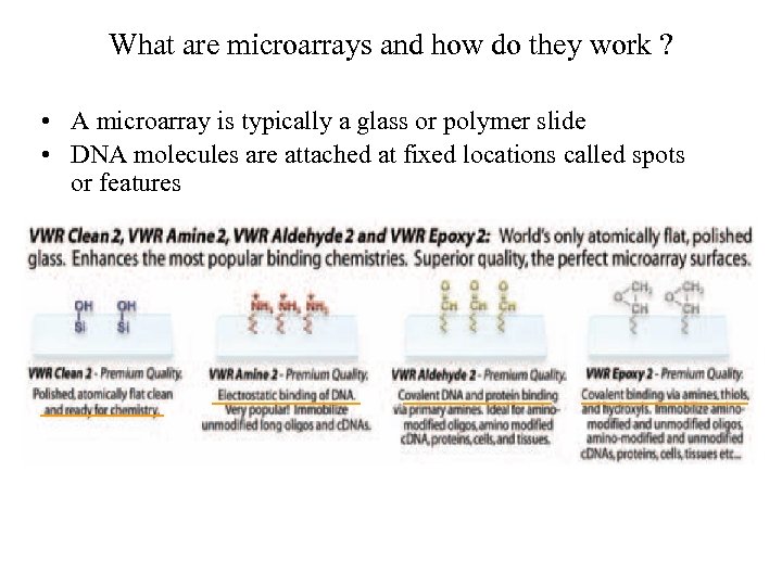 What are microarrays and how do they work ? • A microarray is typically