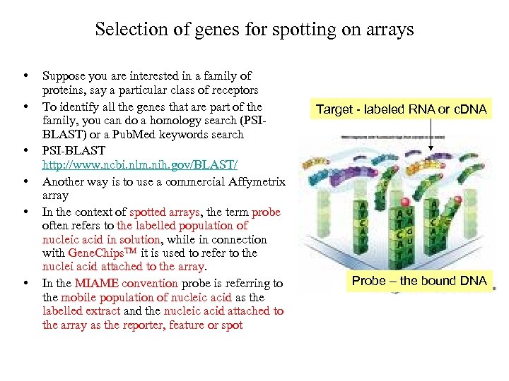 Selection of genes for spotting on arrays • • • Suppose you are interested