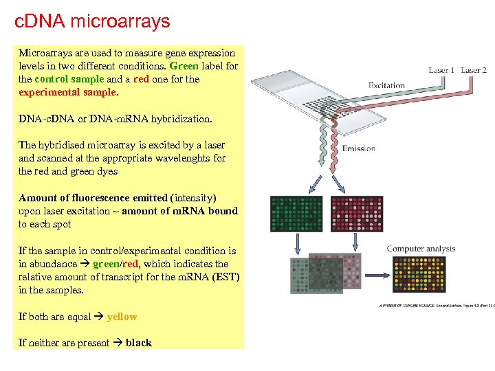 c. DNA microarrays Microarrays are used to measure gene expression levels in two different