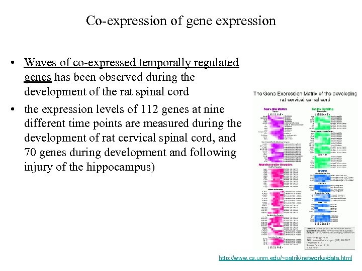 Co-expression of gene expression • Waves of co-expressed temporally regulated genes has been observed