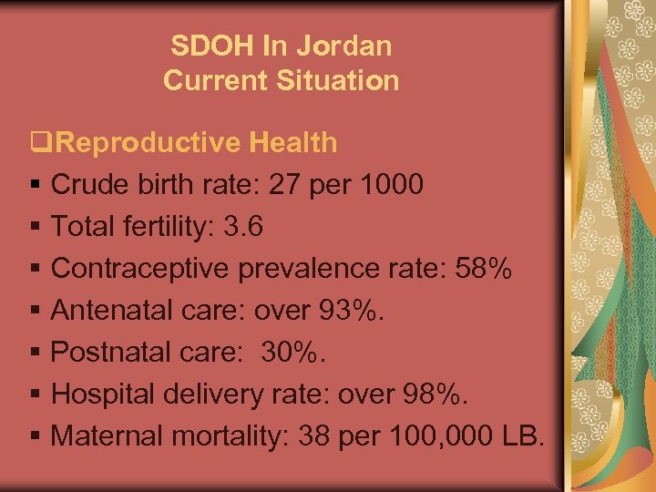 SDOH In Jordan Current Situation q. Reproductive Health § Crude birth rate: 27 per