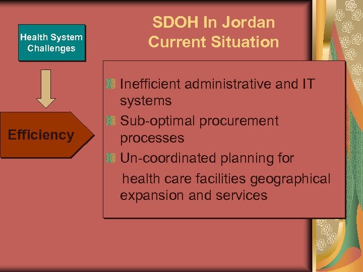 Health System Challenges Efficiency SDOH In Jordan Current Situation Inefficient administrative and IT systems