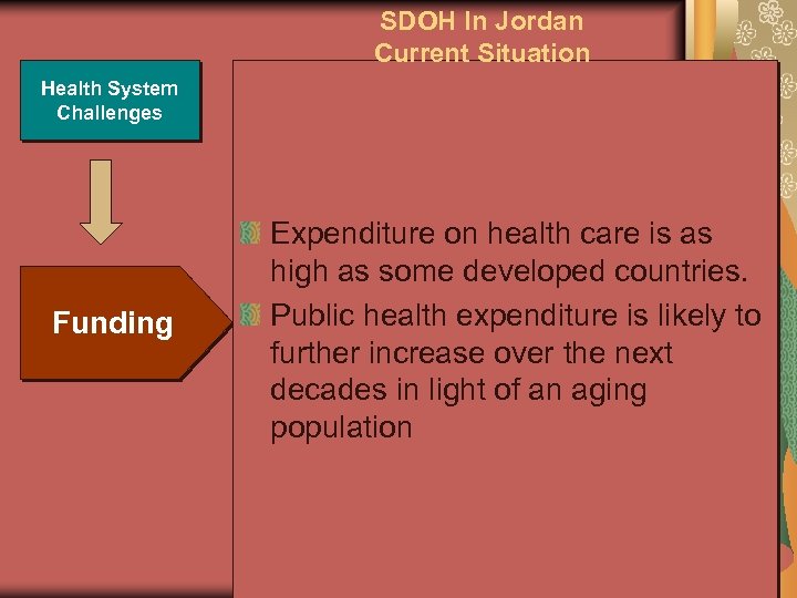 SDOH In Jordan Current Situation Health System Challenges Funding Expenditure on health care is