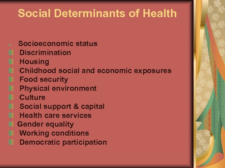 Social Determinants of Health Socioeconomic status Discrimination Housing Childhood social and economic exposures Food