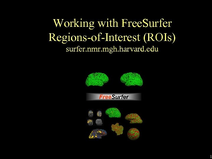 Working with Free. Surfer Regions-of-Interest (ROIs) surfer. nmr. mgh. harvard. edu 1 