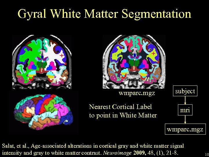 Gyral White Matter Segmentation + + wmparc. mgz Nearest Cortical Label to point in