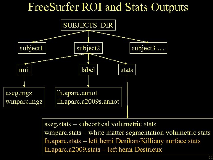 Free. Surfer ROI and Stats Outputs SUBJECTS_DIR subject 1 subject 2 mri label aseg.