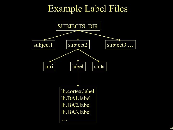 Example Label Files SUBJECTS_DIR subject 1 mri subject 2 label subject 3 … stats