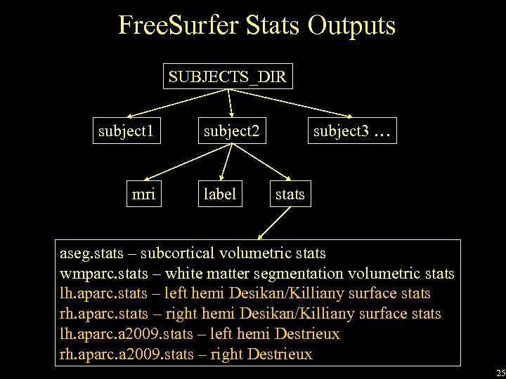 Free. Surfer Stats Outputs SUBJECTS_DIR subject 1 mri subject 2 label subject 3 …
