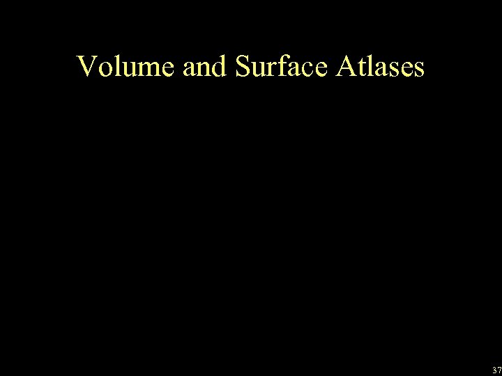 Volume and Surface Atlases 37 