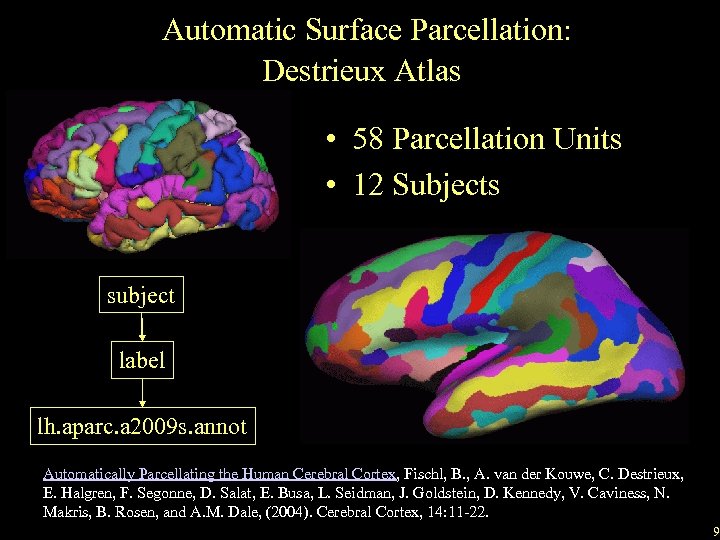 Automatic Surface Parcellation: Destrieux Atlas • 58 Parcellation Units • 12 Subjects subject label
