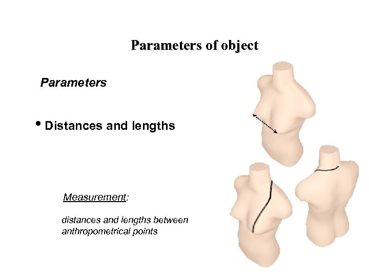 Parameters of object Parameters • Distances and lengths Measurement: distances and lengths between anthropometrical
