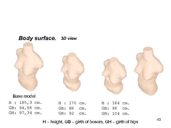 Body surface. Base model H : 185, 3 cm. GB: 94, 96 cm. GH: